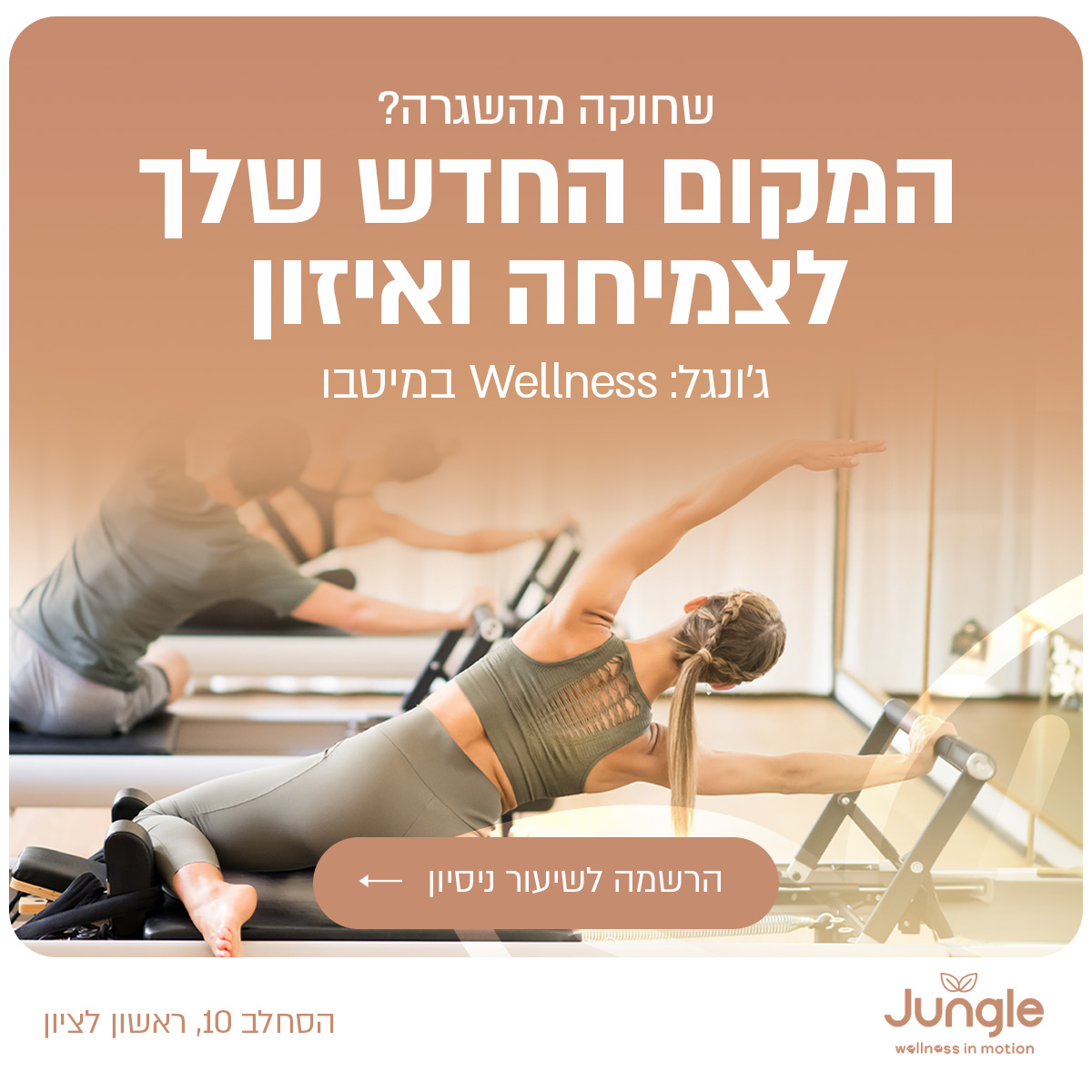 jungle 09.10 1-3