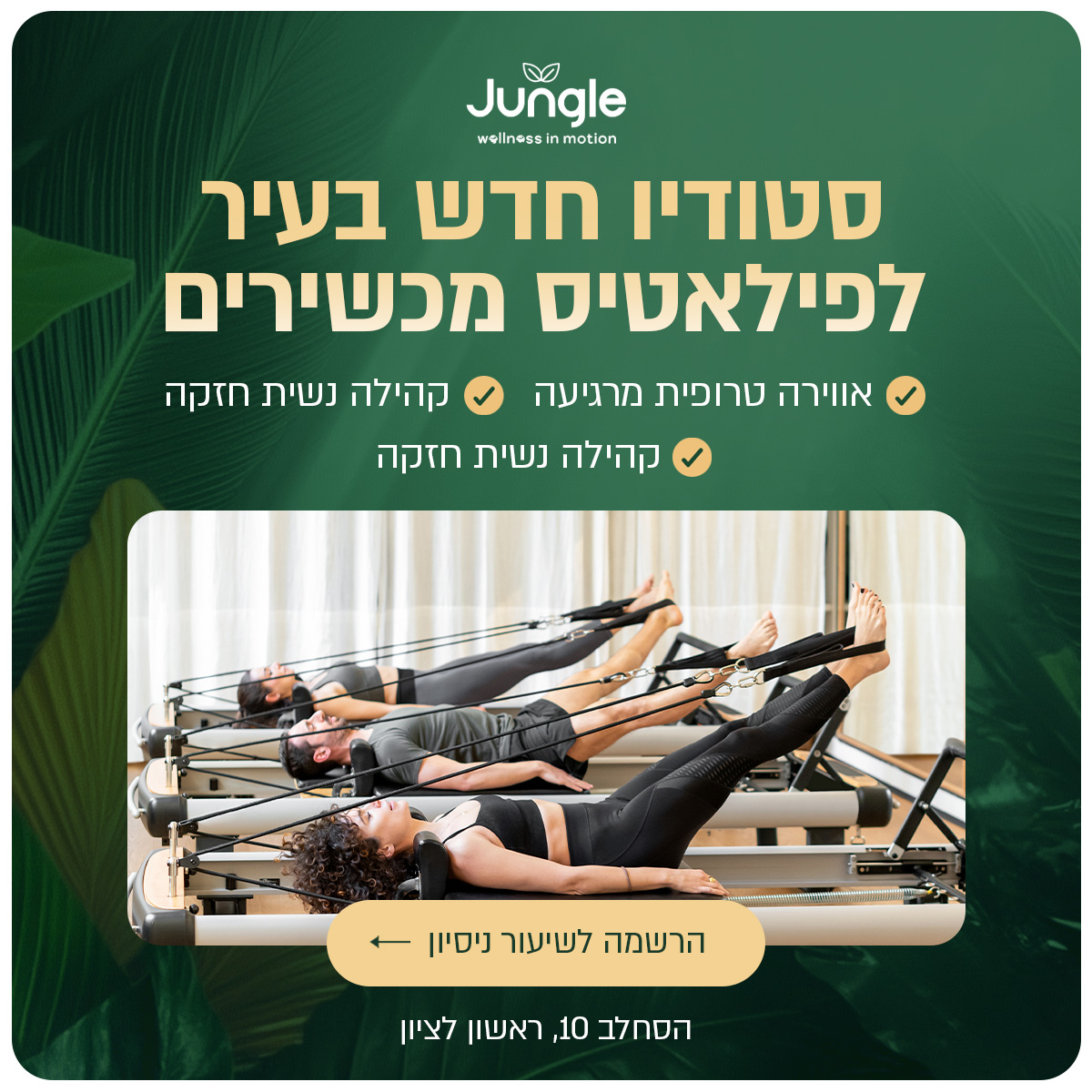 jungle 09.10 1-6
